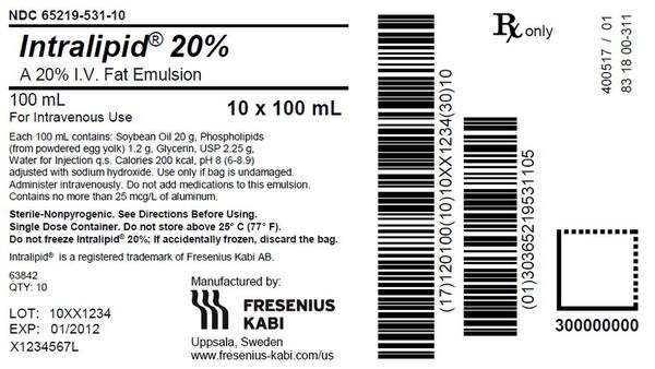 INTRALIPID 20% BAG 10X100ML